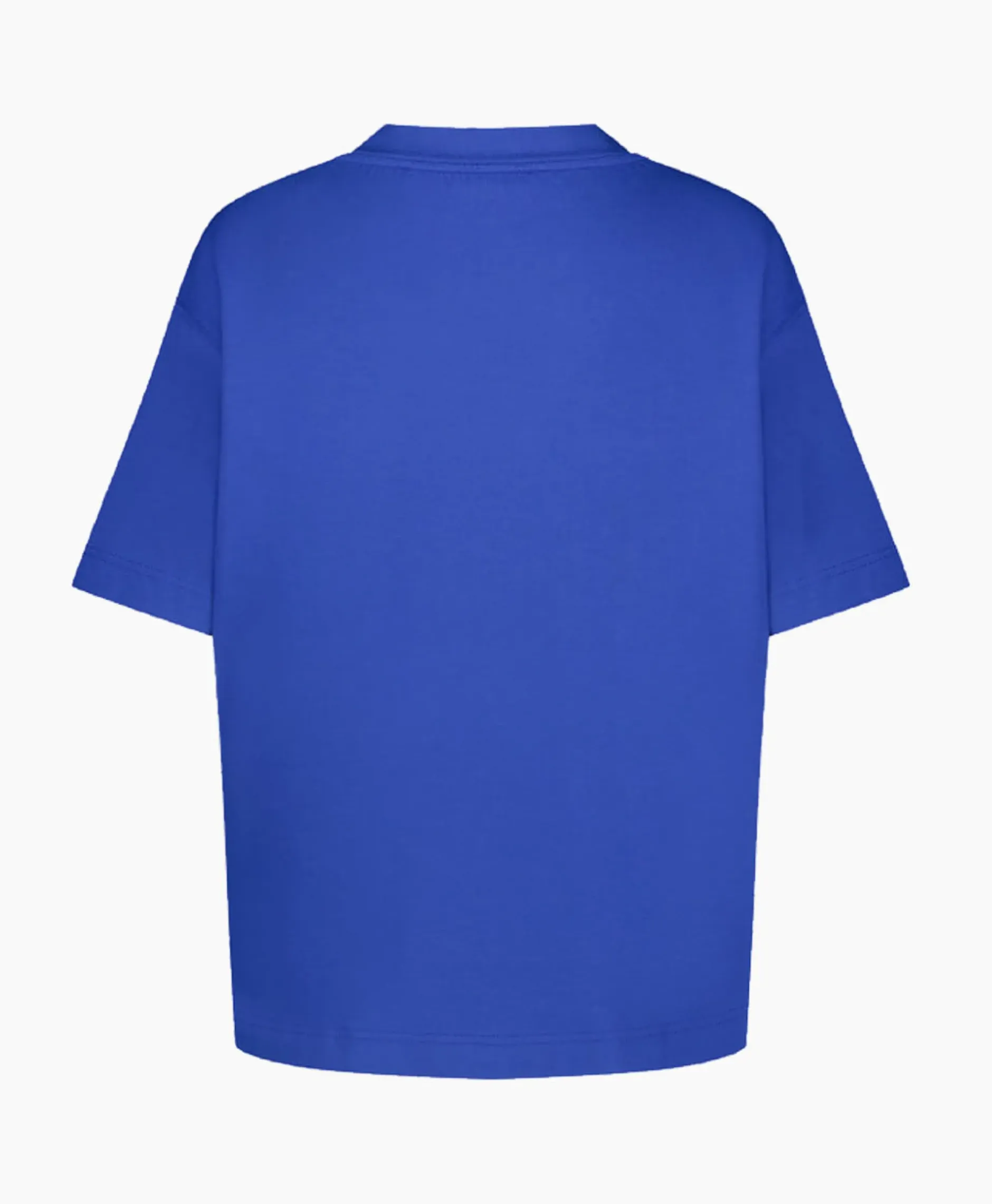 Top & T-Shirt Dani Sport Tee Blauw^Studio Anneloes Best